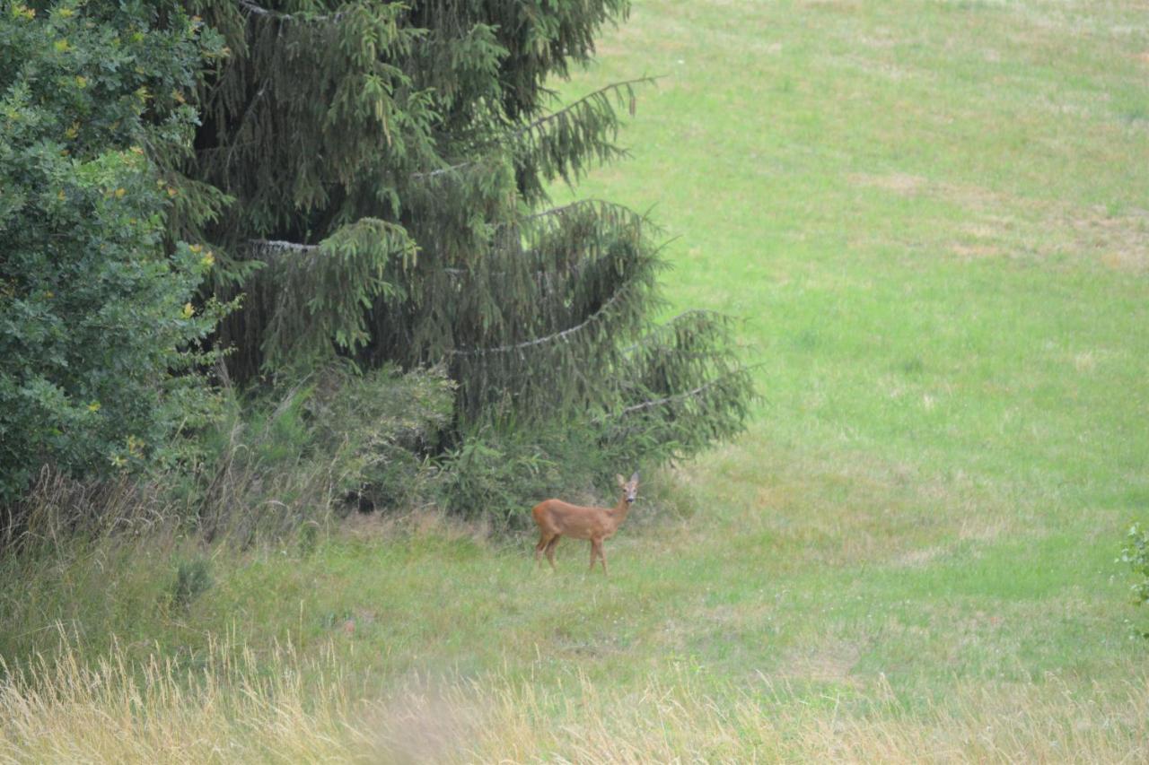 B&B Prosterath-Hochwald Esterno foto