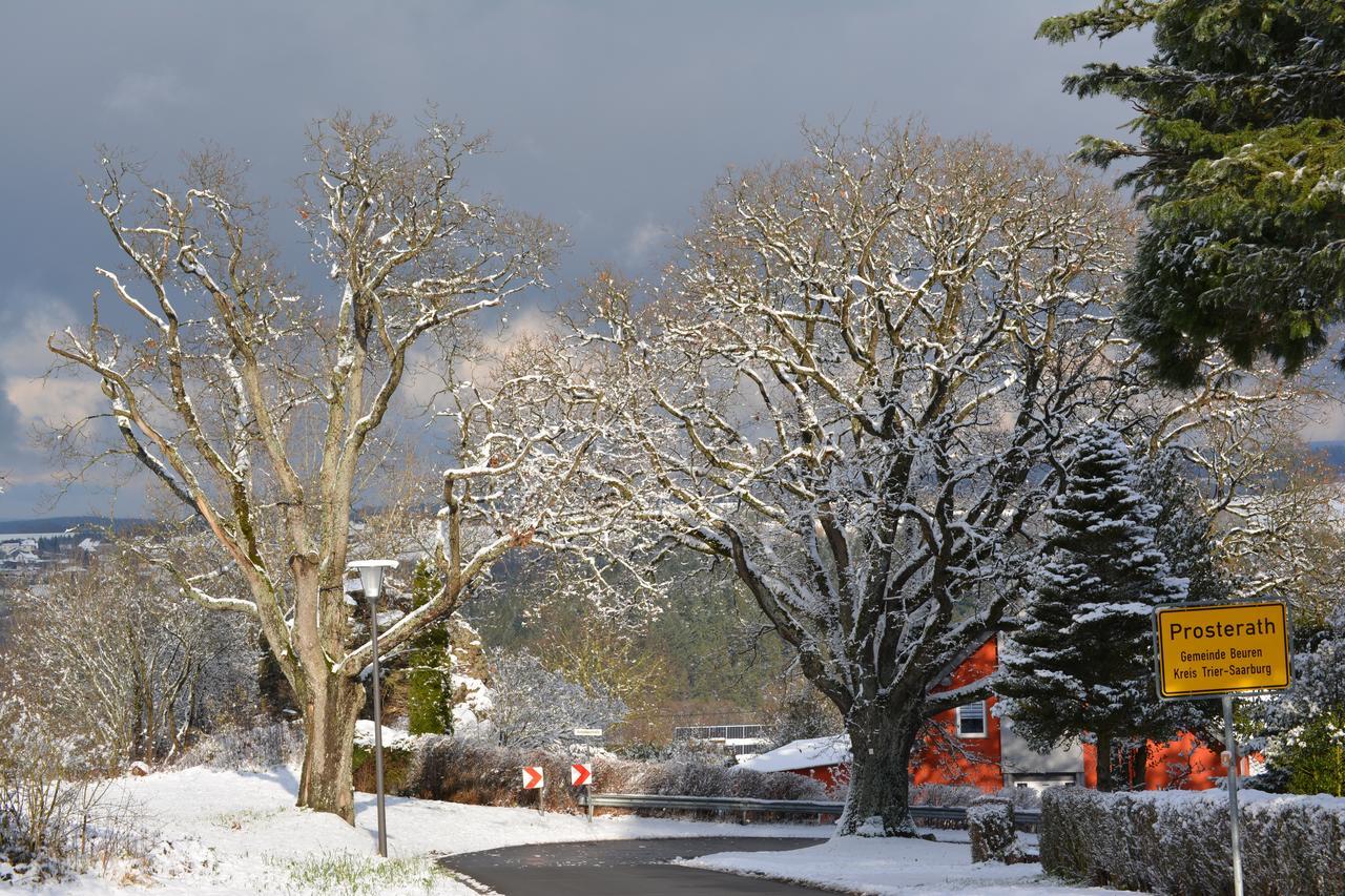 B&B Prosterath-Hochwald Esterno foto