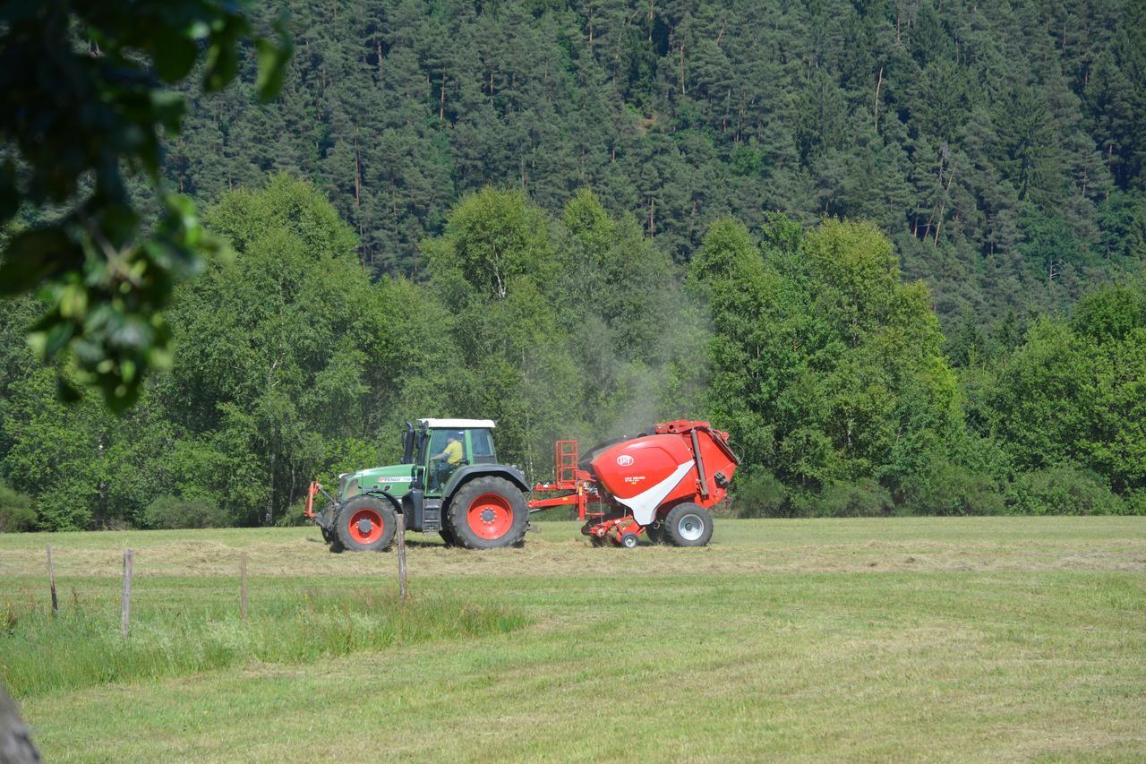 B&B Prosterath-Hochwald Esterno foto